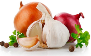 Onion Wallpaper 1244x700 65816