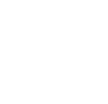 Money icon