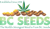 Logo - bcseeds.com