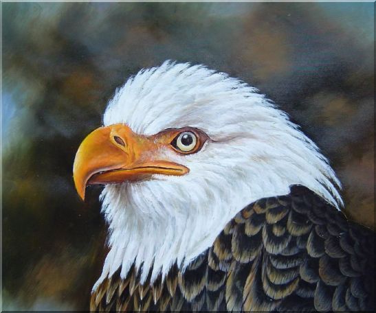 Proud and Brave National Emblem - Bald Eagle Oil Painting Animal Naturalism 20 x 24 Inches