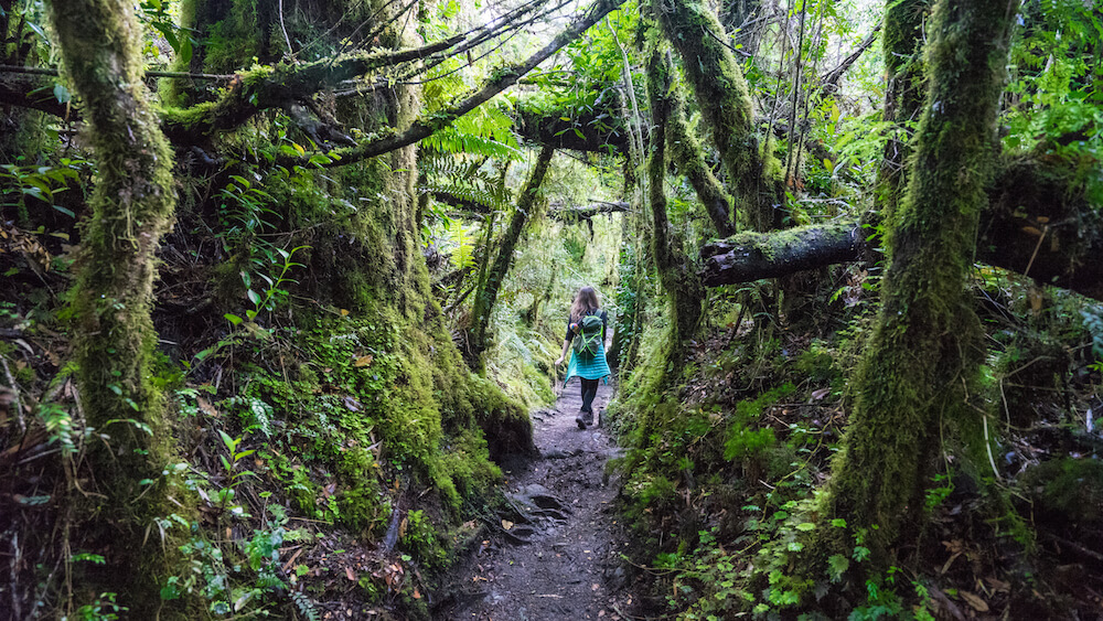 queulat hike