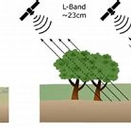 Image result for Polarization signature of Lacunarity for Heterogeneity estimation of Radar backscattering from pine Forest.. Size: 188 x 100. Source: www.researchgate.net