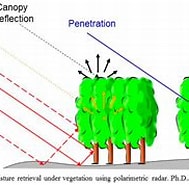 Image result for Polarization signature of Lacunarity for Heterogeneity estimation of Radar backscattering from pine Forest.. Size: 189 x 131. Source: www.mdpi.com