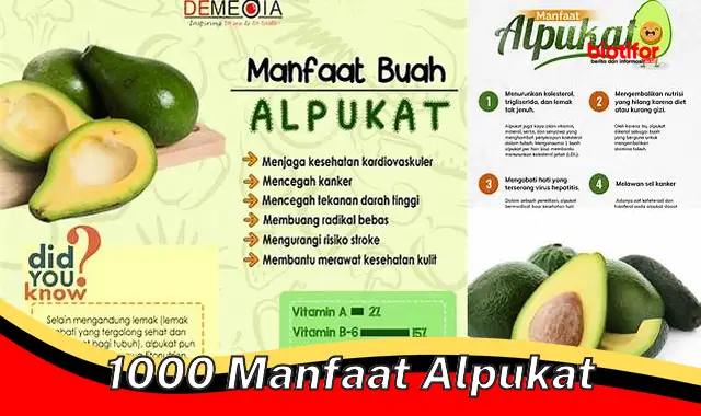 1000 manfaat alpukat