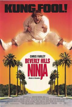 Beverly Hills Ninja (1997)