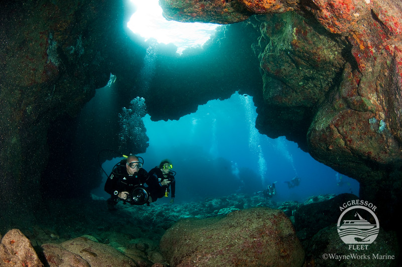 hawaii diving