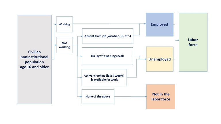 Determining labor force status