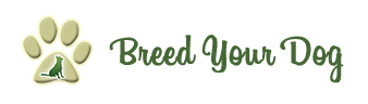 Logo for Breed Your Dog