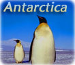 Antarctica