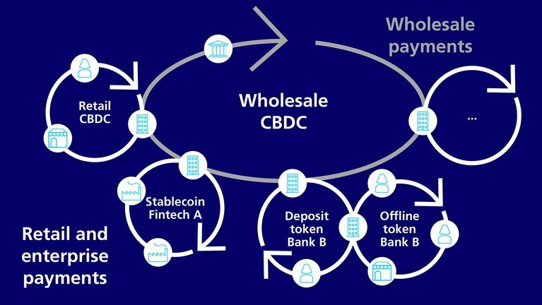 Digital Currency Ecosystem Infographic