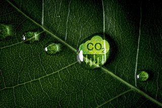 Grünes Symbol für das CO2-Produktportfolio