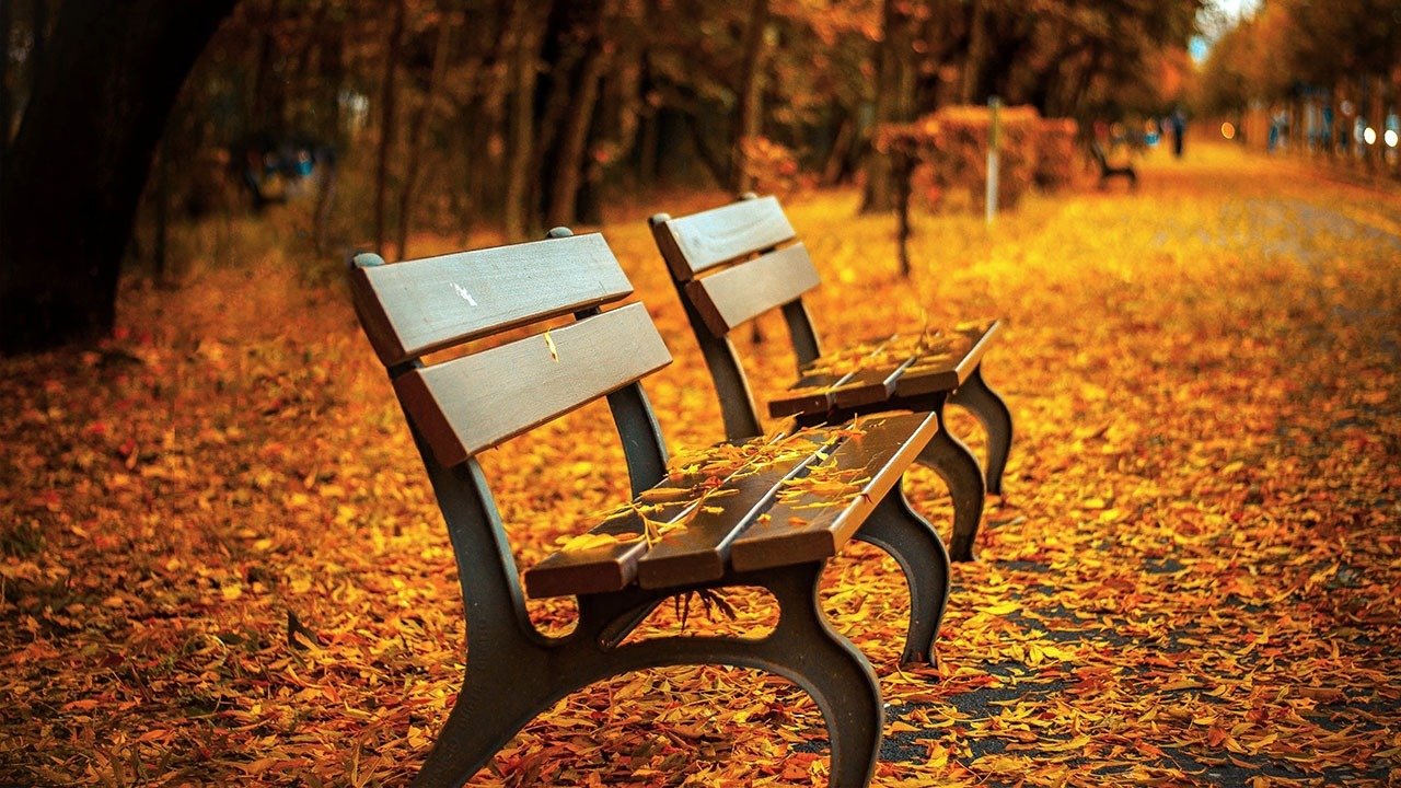 autumn-season-background