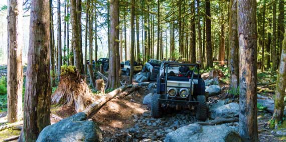 Reiter Foothills Forest's 10,000 acres are located between sub-alpine wilderness and the Skykomish River valley, surrounded by beautiful snow-capped mountain peaks. 