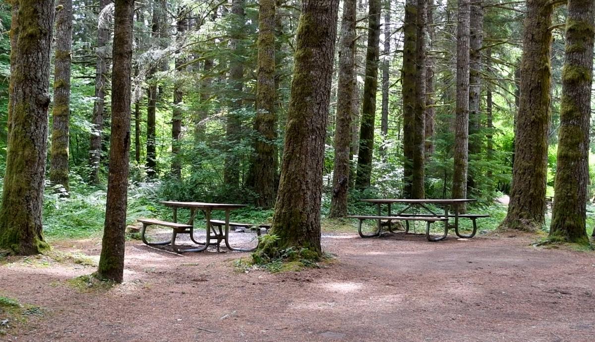 Picnic tables at Sahara Creek Horse Camp.