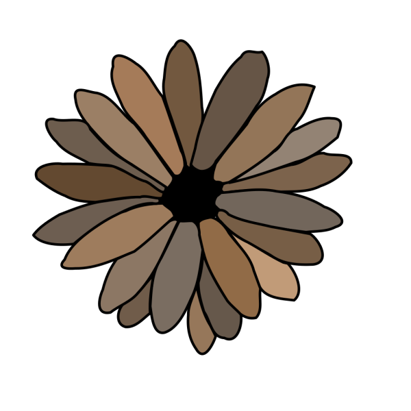 Gray Brown Daisy PNG images