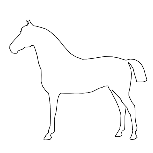 White Horse PNG images