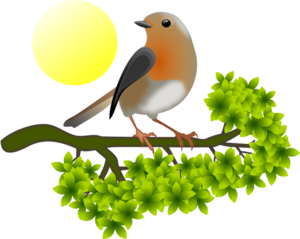 European Robin PNG HD PNG Clip art