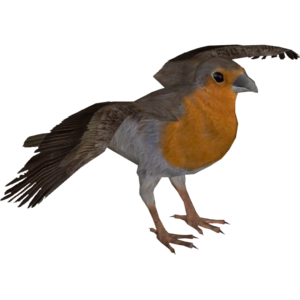 European Robin PNG Pic PNG Clip art