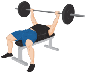 Exercise PNG Clipart PNG Clip art