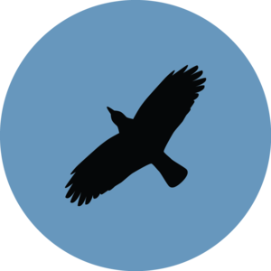 Ravenclaw PNG Download Image PNG Clip art