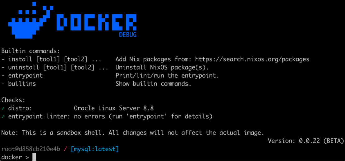 Screenshot of beta version of docker debug page.