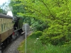 On a steam train