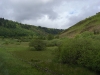 North York moors