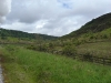 North Yorkshire moors