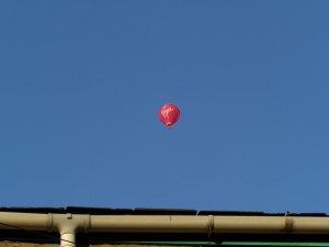 Virgin balloon