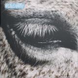 aldn - greenhouse LP