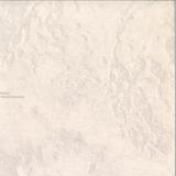Ultrafog - A Replica Screams