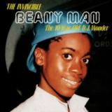 BEANY MAN - The Invincible Beany Man