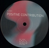 Hamid, Octad, Dhaze & Phiorio, Gabriele - Positive Contribution