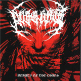 Various - Beauty Of The Chaos