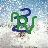 NPVR - 33 34 LP