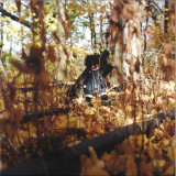 BILLY WOODS - GOLLIWOG LP 2x12"