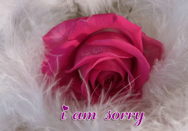 I Am Sorry