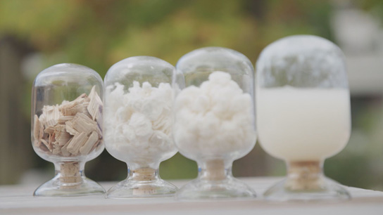 夢の素材をもっと身近に