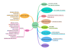 Free Biology Mind Map Templates Template Resources