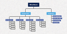 Company Structure Mind Map