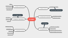 HR Roles Mind Map