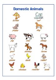 Domestic Animals