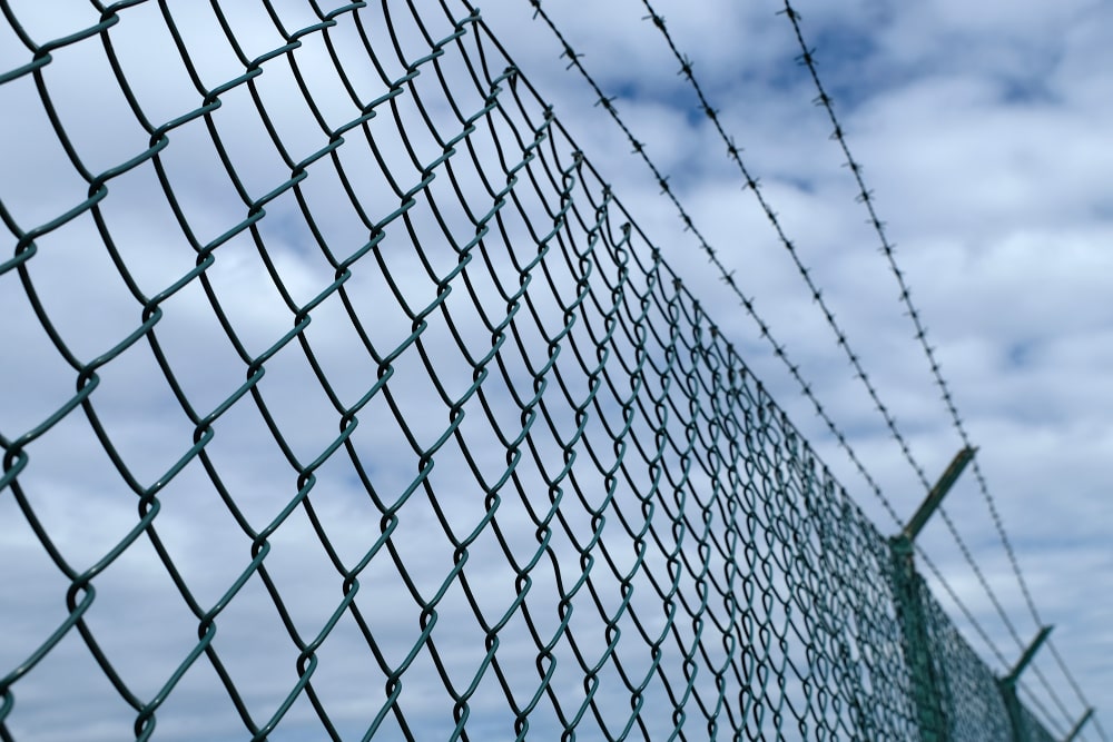 Wire Mesh Fences