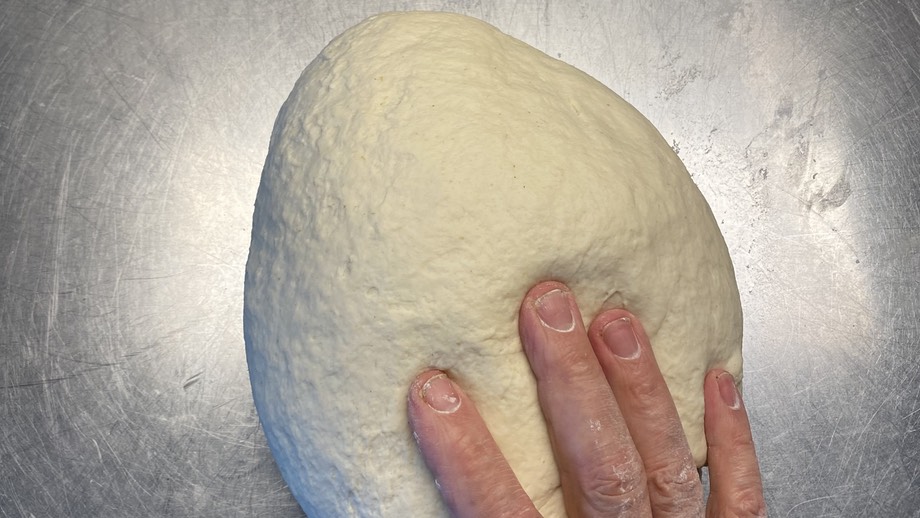 Bagel dough with a hand for scale