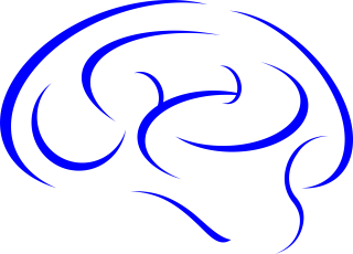 Brain Blue PNG images