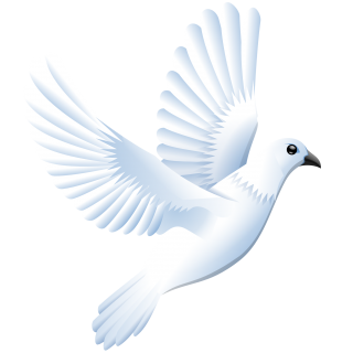 Dove Images Png PNG images