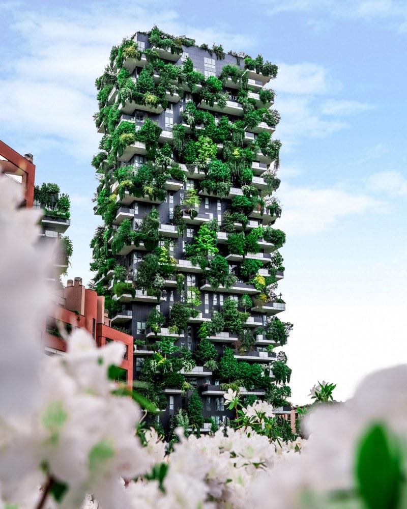 bosco verticale 2