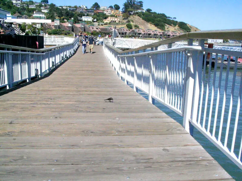 Tiburon Pier