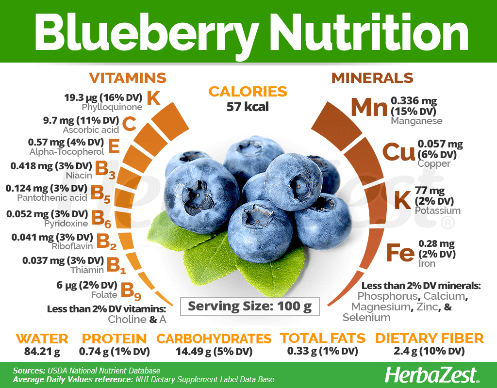 Blueberry Nutrition