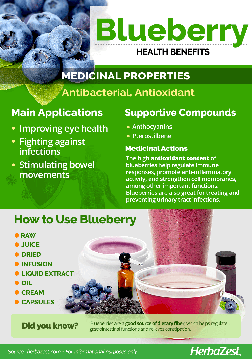 All About Blueberry